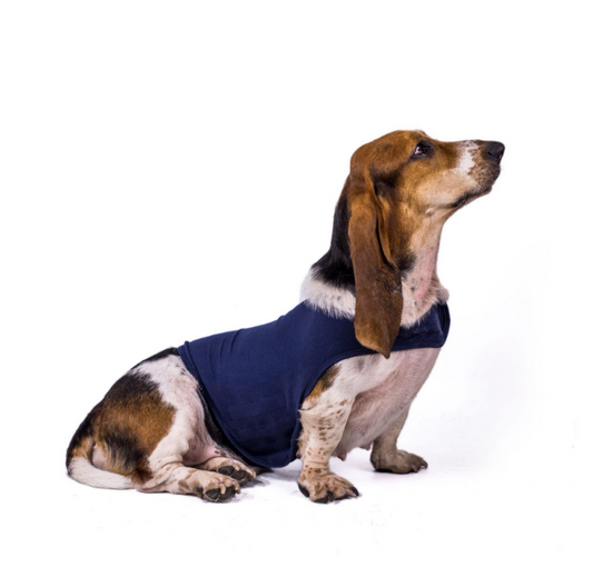 Calming Dog Compression Vest