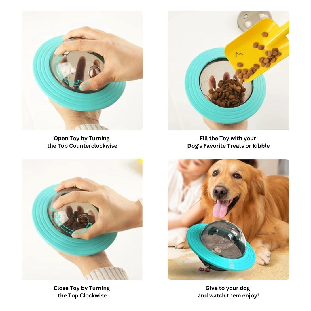 Flying Saucer Slow Feeder Toy