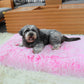 Orthopedic Plush Dog Bed with Removable Fur Cover
